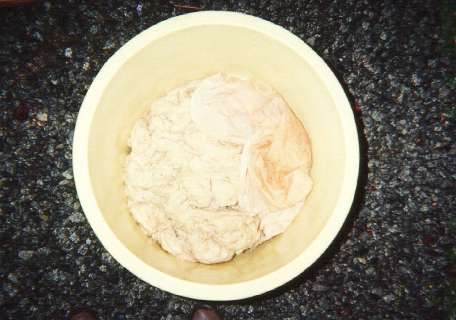 The kozo before dyeing