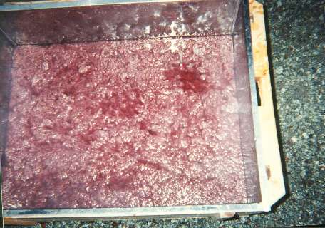 The finished dyed kozo for the certificates