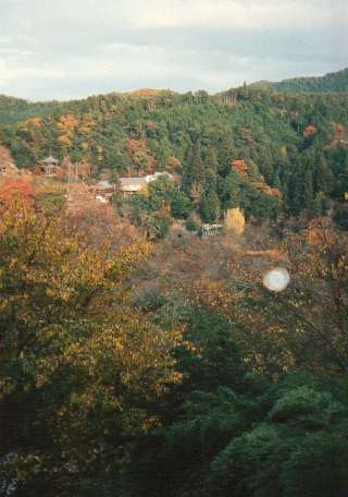 Yoshino Mountains in autumn
