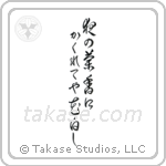 夜の蘭香にかくれてや花白し — Cursive