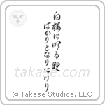 白梅に明る夜ばかりとなりにけり — Cursive