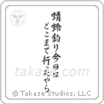 蜻蛉釣り今日はどこまで行ったやら — Semi-Cursive