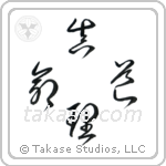 道真理命 — Design